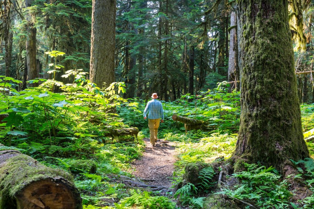 Hike in the forest